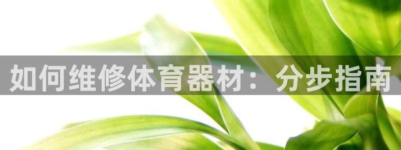 凯时k66官网登录